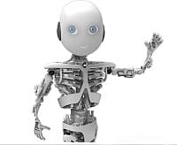 wp robot plugin